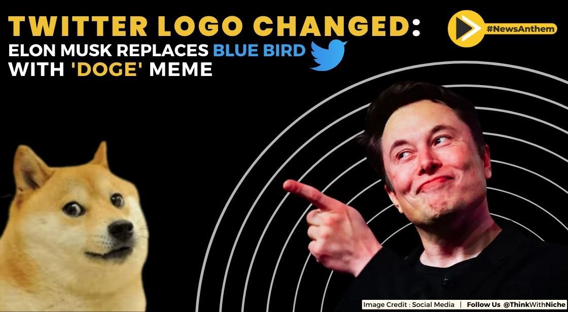 Elon Musk changed Twitter blue bird logo to the 'Doge' meme