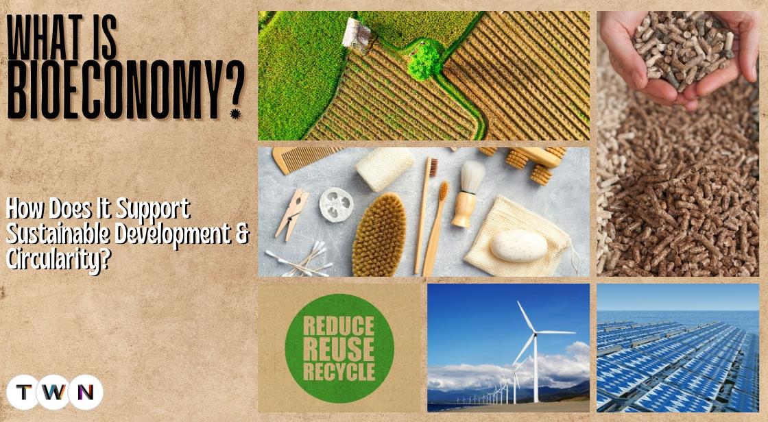 What Is Bioeconomy And How Does It Support Sustainable Development And