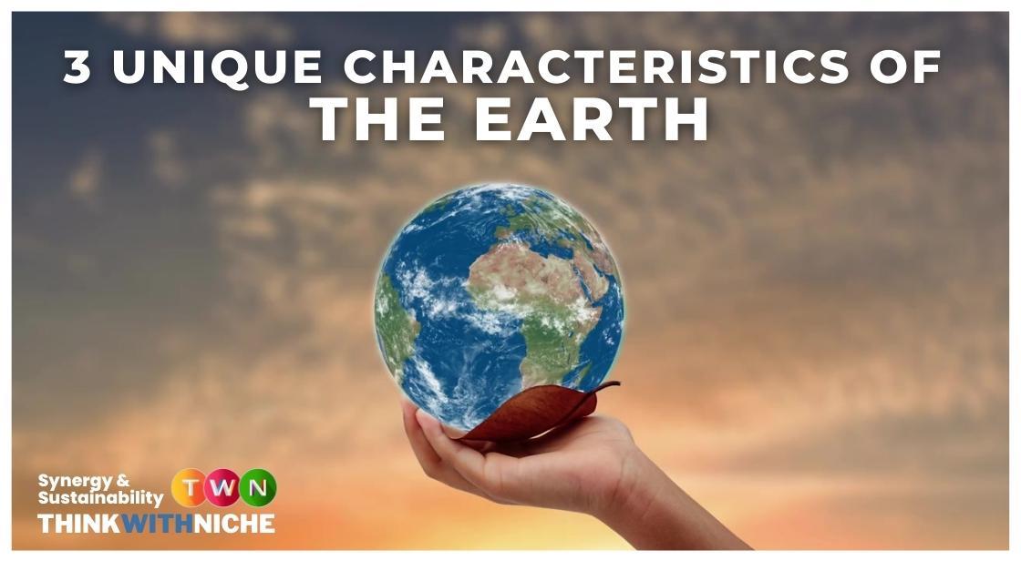 essay about the unique characteristics and properties of the earth